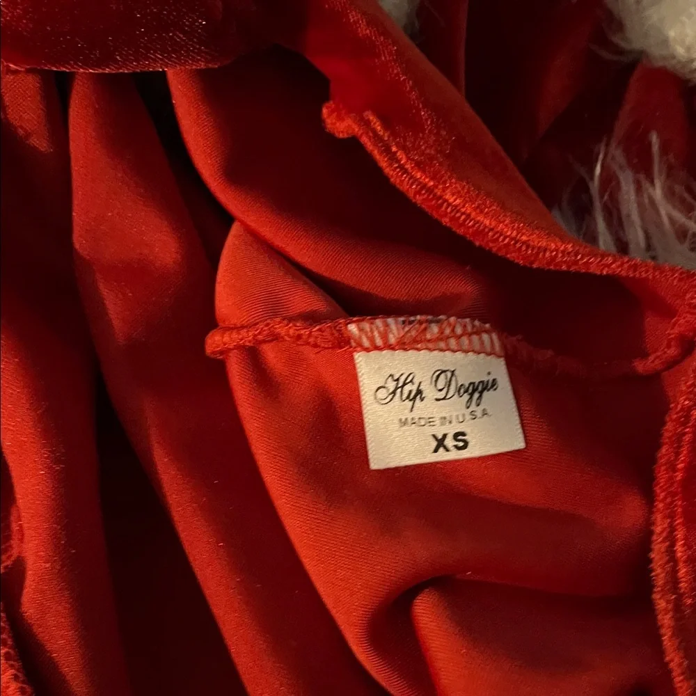 Charming Red Velvet Dog Dress with Fur Trim